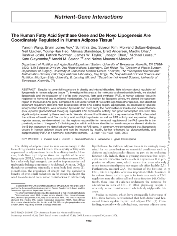 (PDF) The human fatty acid synthase gene and de novo lipogenesis are ...