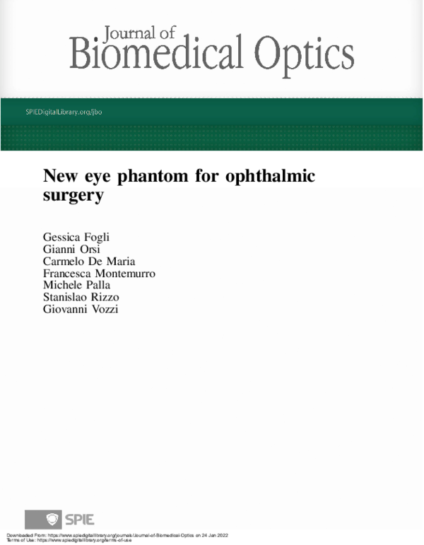 (PDF) New eye phantom for ophthalmic surgery | Carmelo De Maria ...