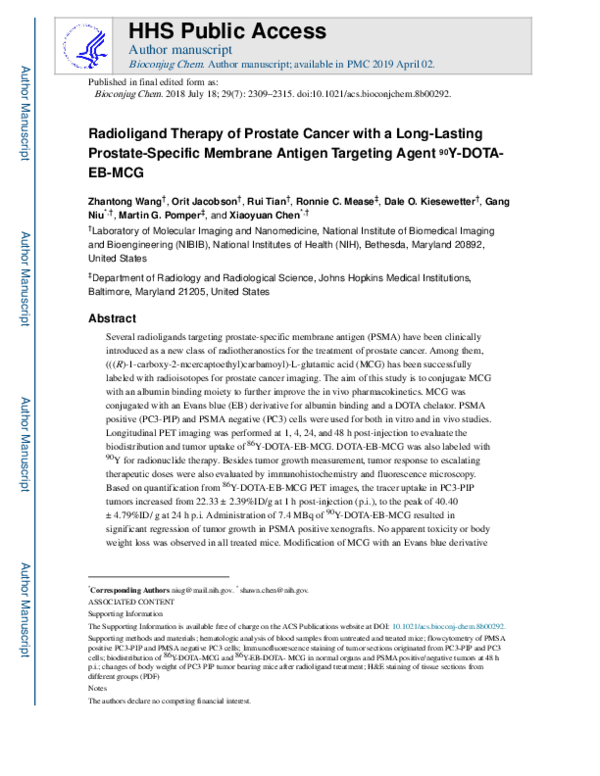 (PDF) Radioligand Therapy of Prostate Cancer with a Long-Lasting ...