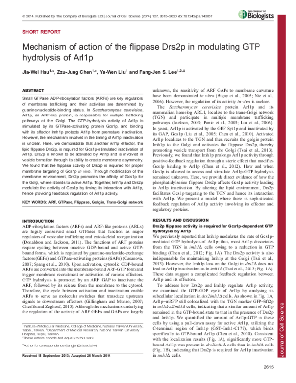 (PDF) Mechanism of action of flippase Drs2p in modulating GTP ...