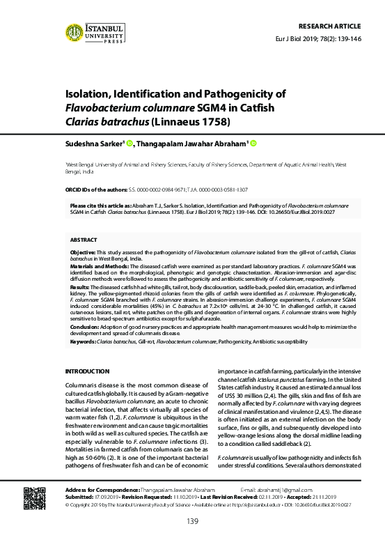 (PDF) Isolation, Identification and Pathogenicity of Flavobacterium ...