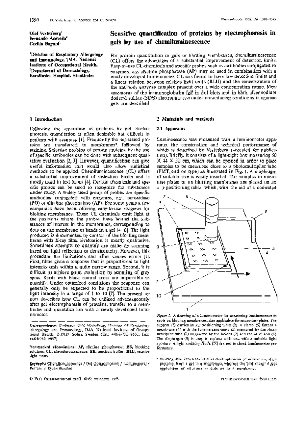 (PDF) Sensitive quantification of proteins by electrophoresis in gels ...