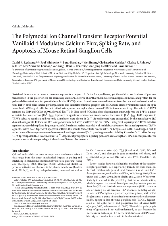 (PDF) The Polymodal Ion Channel Transient Receptor Potential Vanilloid ...