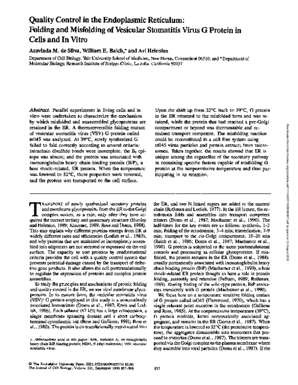 (PDF) Quality control in the endoplasmic reticulum: folding and ...