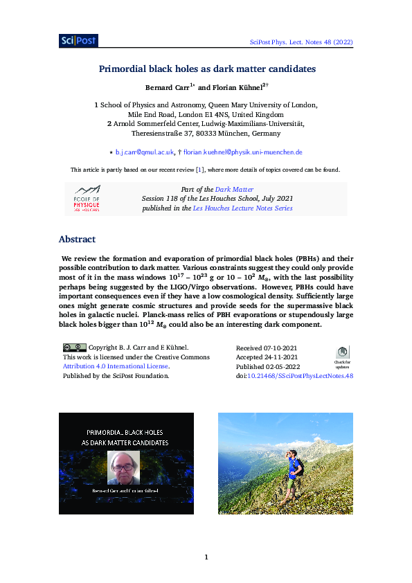 (PDF) Primordial black holes as dark matter candidates