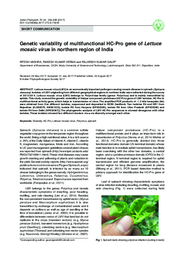 (PDF) Variability of Multifunctional HCPro Gene of Lettuce