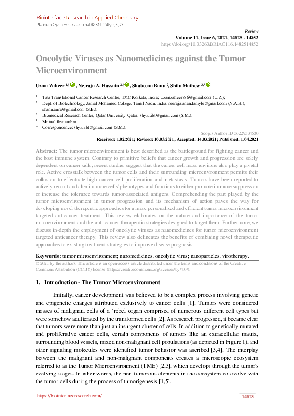 (PDF) Oncolytic Viruses as Nanomedicines against the Tumor Microenvironment