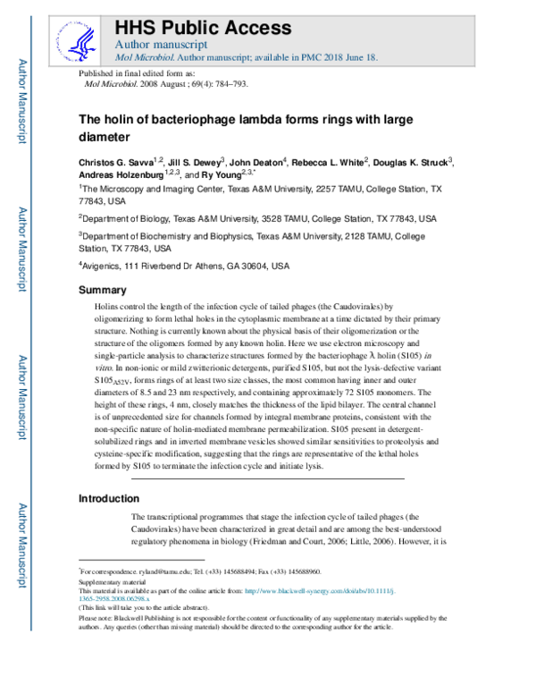 (PDF) The holin of bacteriophage lambda forms rings with large diameter