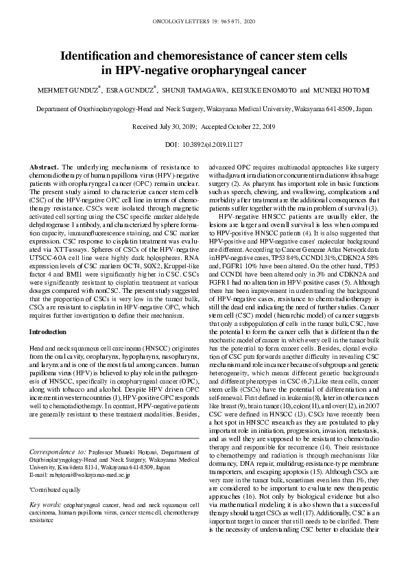 (PDF) Cancer Stem Cells and Chemoresistance