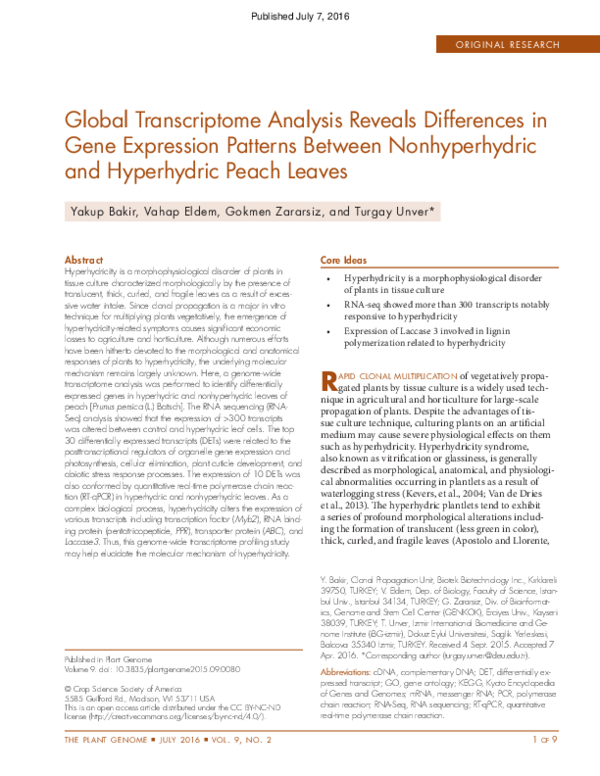 (PDF) Global Transcriptome Analysis Reveals Differences in Gene ...