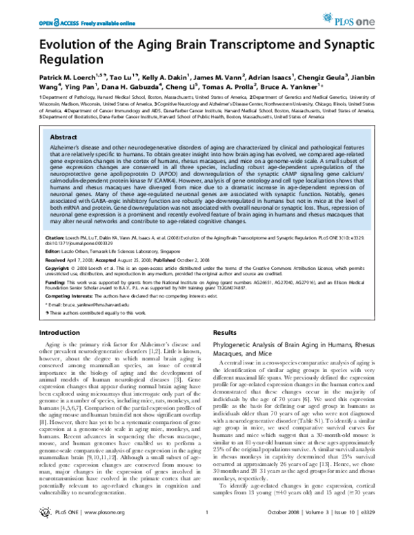 (PDF) Evolution of the Aging Brain Transcriptome and Synaptic Regulation