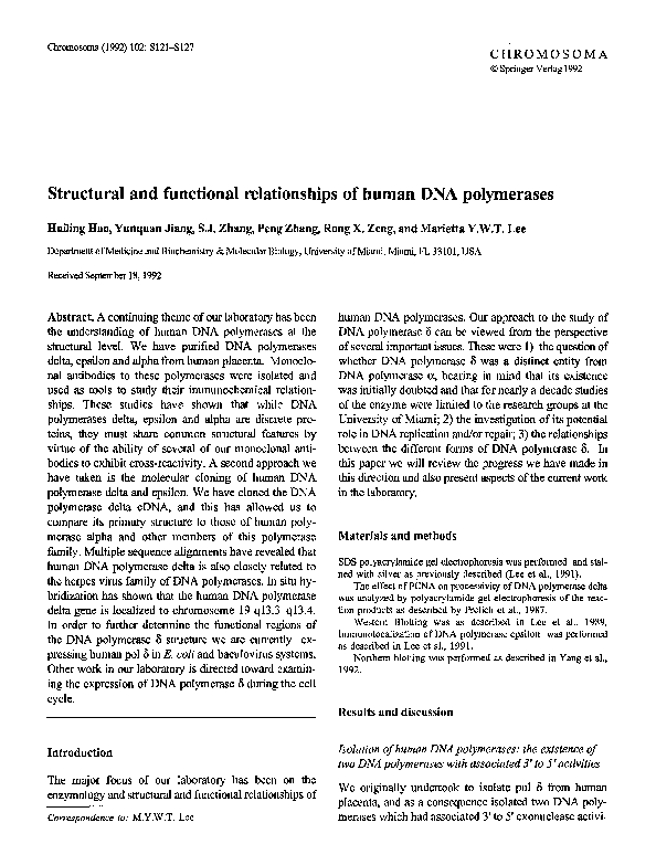 (PDF) Structural and functional relationships of human DNA polymerases