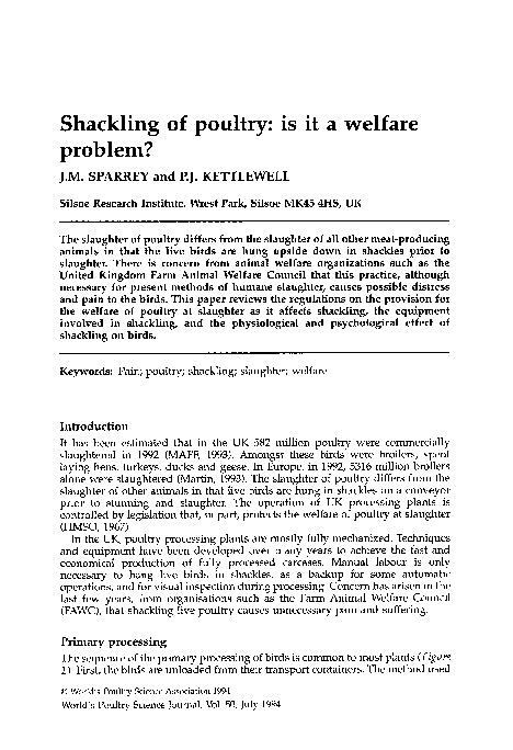 (PDF) Shackling of poultry: is it a welfare problem?