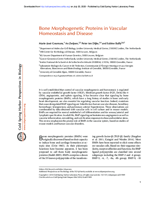 (PDF) Bone Morphogenetic Proteins in Vascular Homeostasis and Disease