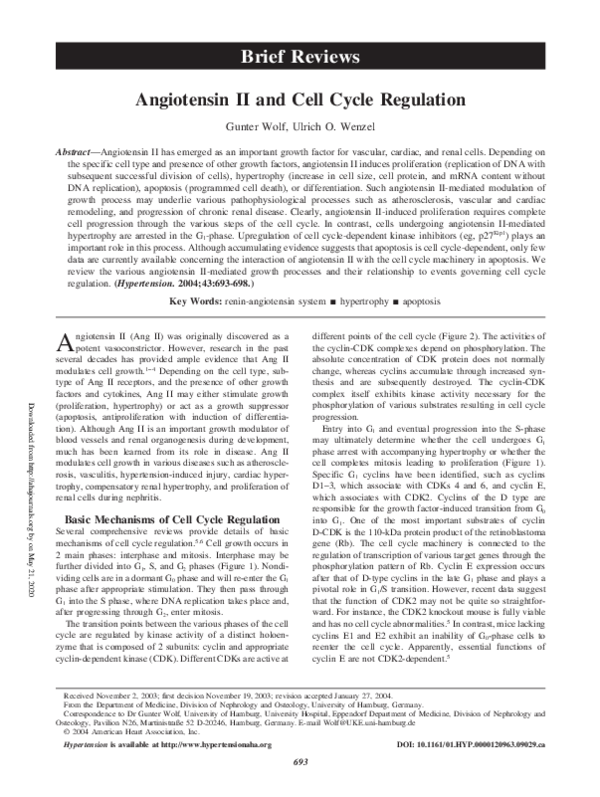 (PDF) Angiotensin II and Cell Cycle Regulation