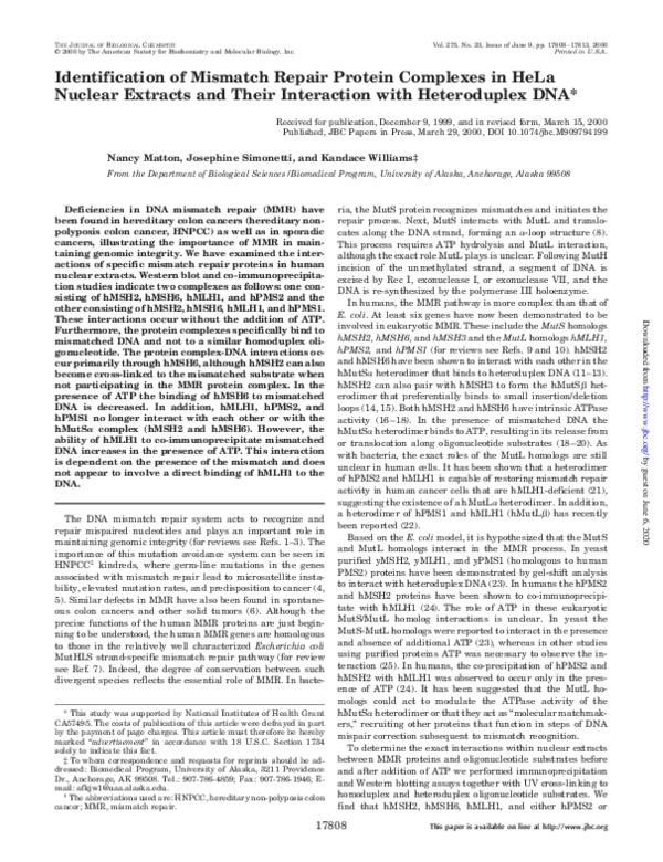 (PDF) Identification of Mismatch Repair Protein Complexes in HeLa ...