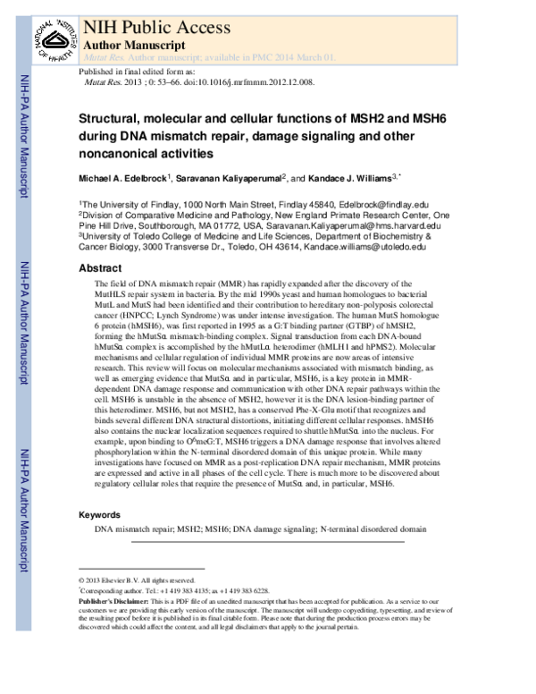 PDF) Structural, molecular and cellular functions of MSH2