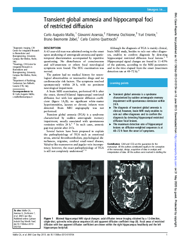 (PDF) Transient global amnesia and hippocampal foci of restricted diffusion