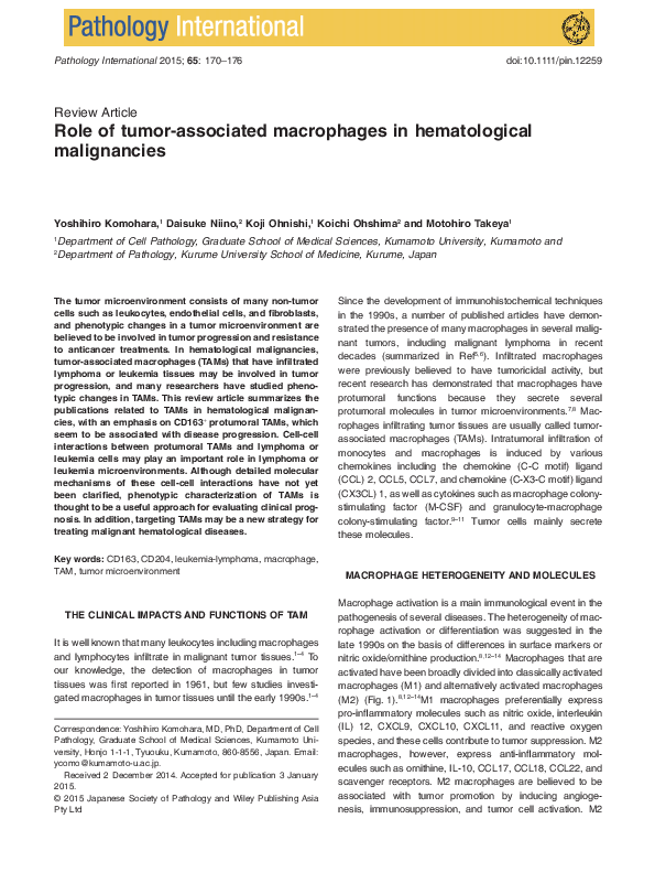 (PDF) Role of tumor-associated macrophages in hematological malignancies