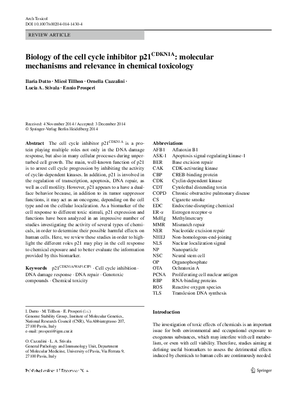 (PDF) Biology of the cell cycle inhibitor p21CDKN1A: molecular ...