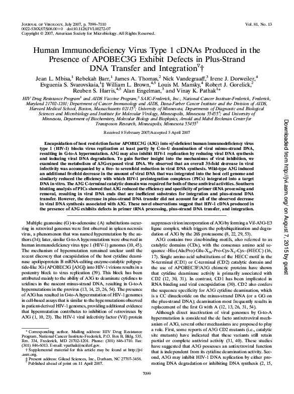 (PDF) Human Immunodeficiency Virus Type 1 cDNAs Produced in the ...