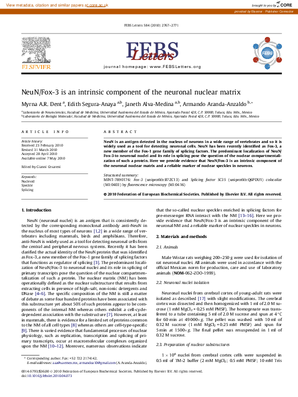 (PDF) NeuN/Fox-3 is an intrinsic component of the neuronal nuclear matrix