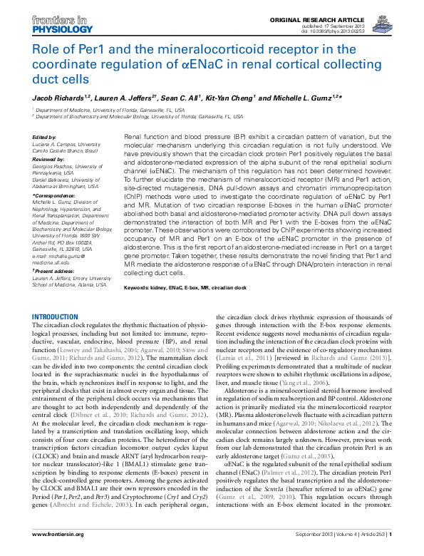 (PDF) Role of Per1 and the mineralocorticoid receptor in the coordinate ...