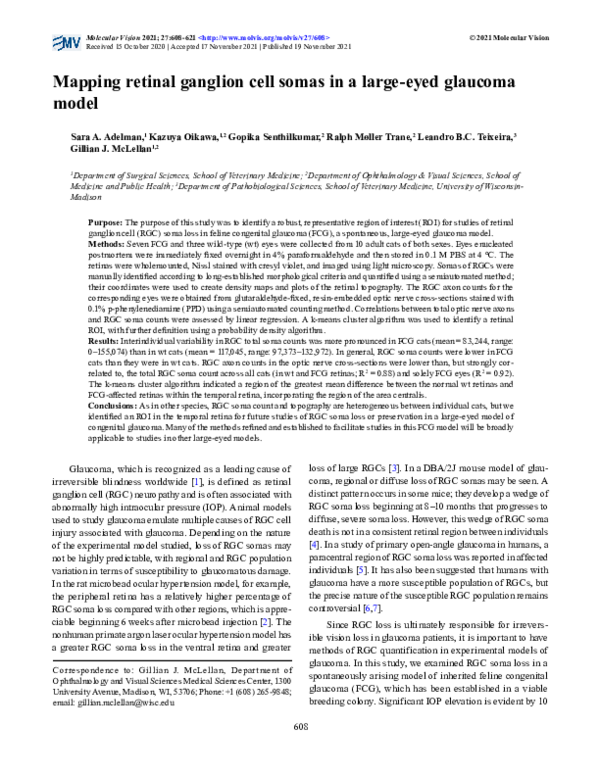 (PDF) Mapping retinal ganglion cell somas in a large-eyed glaucoma model