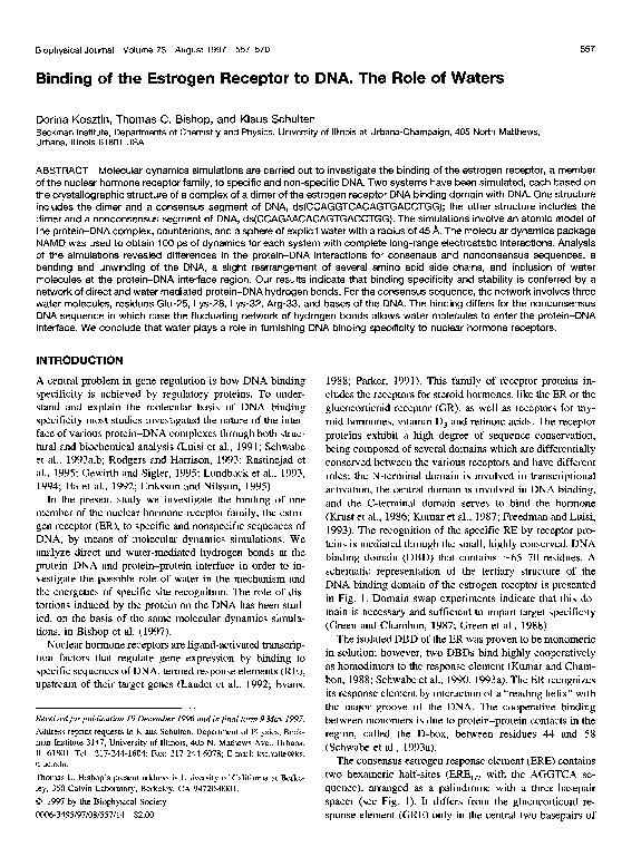 (PDF) Binding of the estrogen receptor to DNA. The role of waters