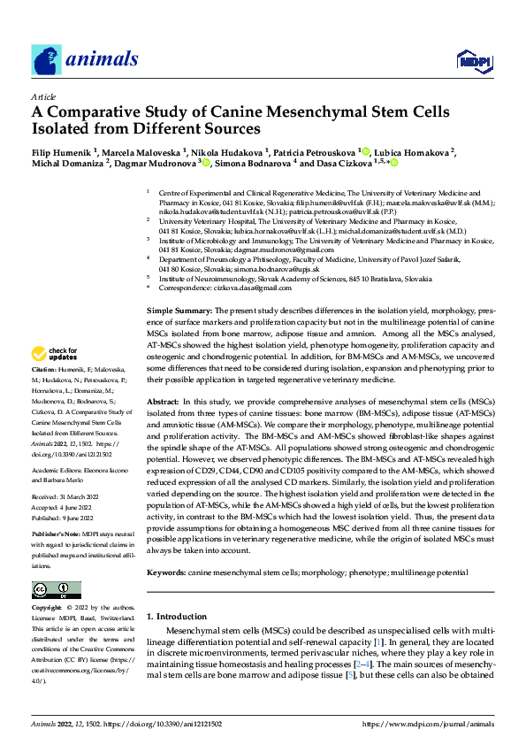 (PDF) A Comparative Study of Canine Mesenchymal Stem Cells Isolated ... image.
