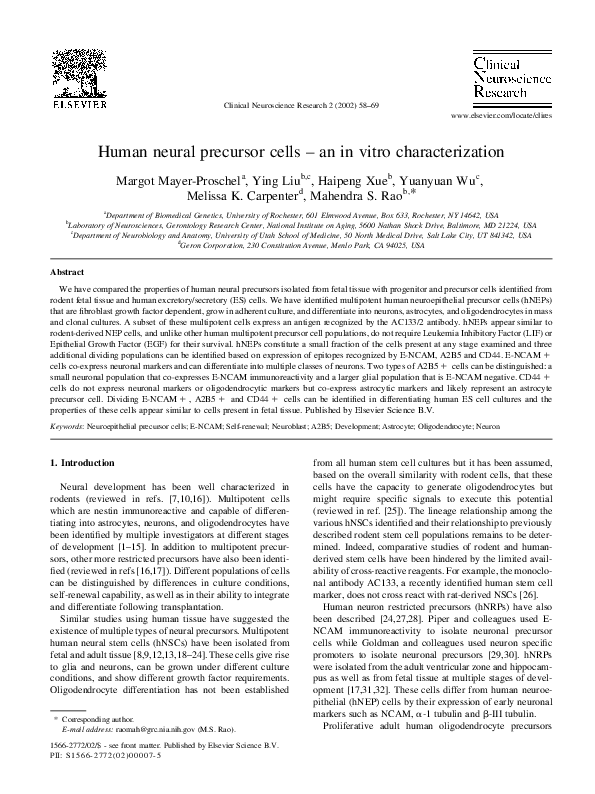 (PDF) Human neural precursor cells – an in vitro characterization