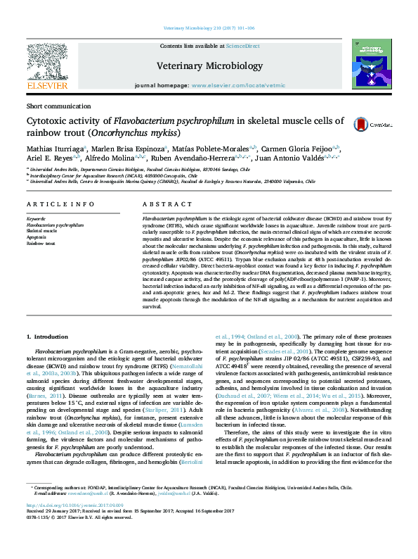 (PDF) Cytotoxic activity of Flavobacterium psychrophilum in skeletal ...