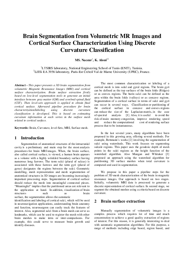 (PDF) Brain Segmentation from Volumetric MR Images and Cortical Surface ...