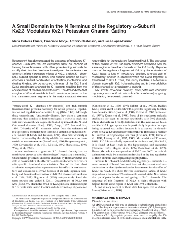 (PDF) A Small Domain in the N Terminus of the Regulatory α-Subunit Kv2 ...