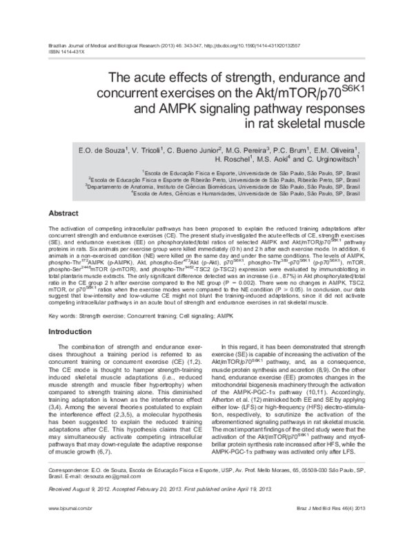 (PDF) The acute effects of strength, endurance and concurrent exercises ...