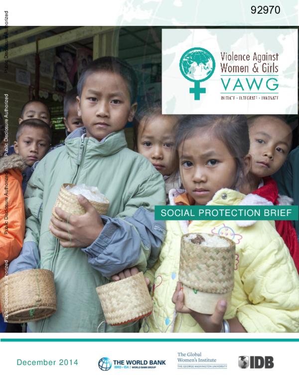 (PDF) Violence Against Women and Girls: Social Protection Brief