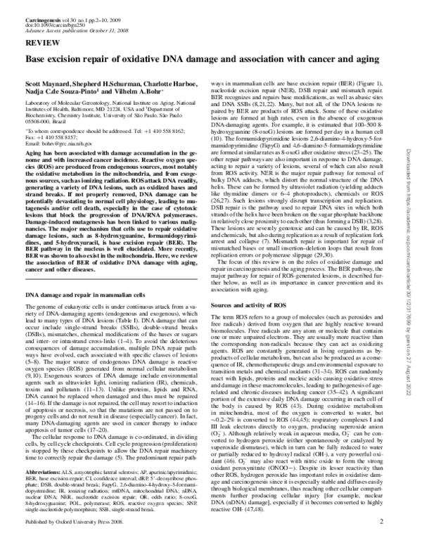 (PDF) Base excision repair of oxidative DNA damage and association with ...