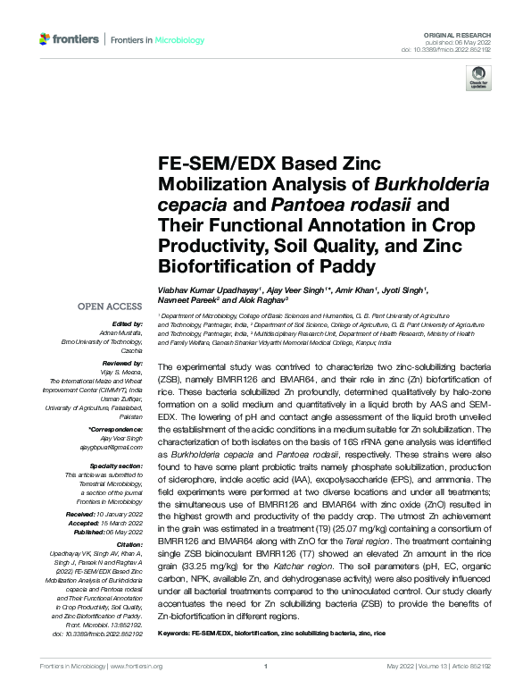 (PDF) FE-SEM/EDX Based Zinc Mobilization Analysis of Burkholderia ...