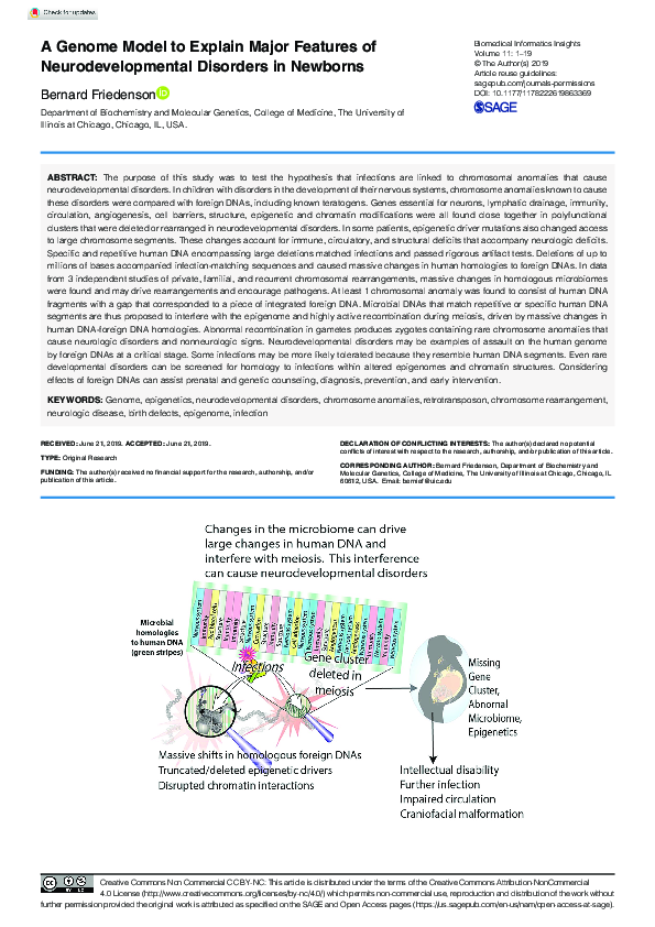 (PDF) A Genome Model to Explain Major Features of Neurodevelopmental ...