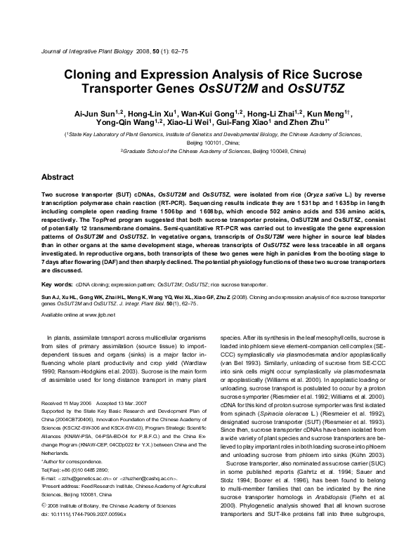 (PDF) Cloning and Expression Analysis of Rice Sucrose Transporter ...