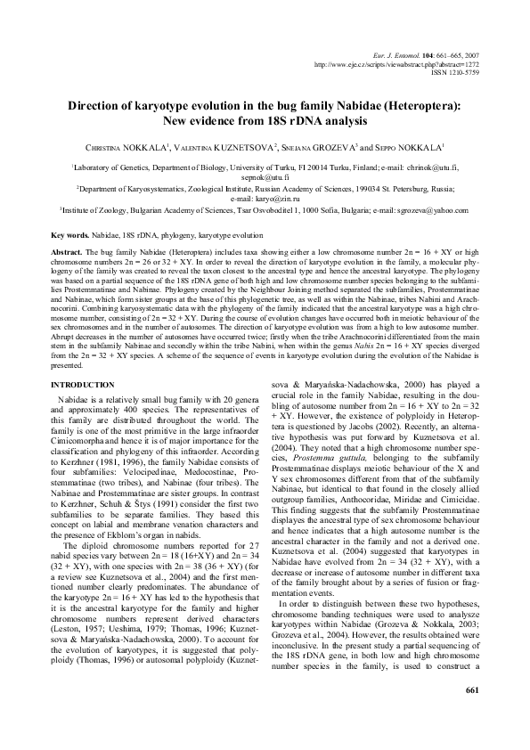 (PDF) Direction of karyotype evolution in the bug family Nabidae ...