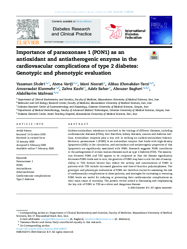 (PDF) Importance of paraoxonase 1 (PON1) as an antioxidant and ...