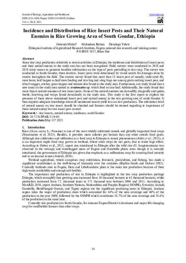(PDF) Incidence and Distribution of Rice Insect Pests and Their Natural