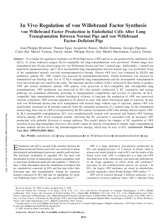(PDF) In Vivo Regulation of von Willebrand Factor Synthesis