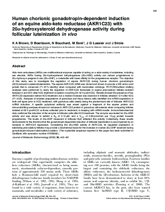 (PDF) Human chorionic gonadotropin-dependent induction of an equine ...
