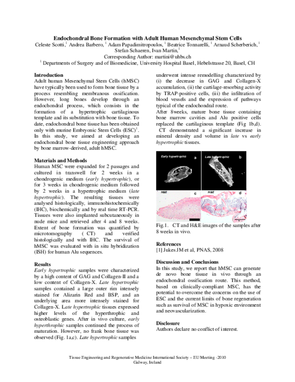 (PDF) Endochondral Bone Formation with Adult Human Mesenchymal Stem Cells