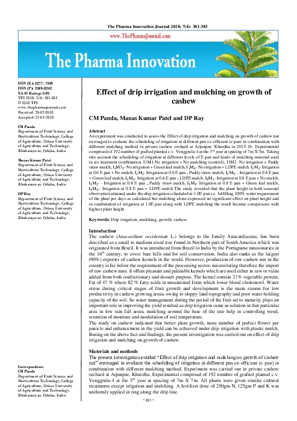 (PDF) Effect of drip irrigation and mulching on growth of cashew