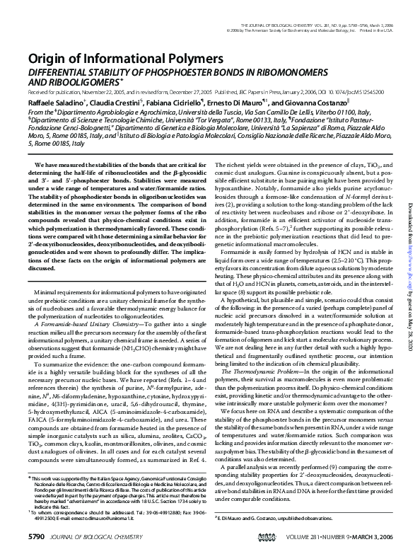 (PDF) Origin of Informational Polymers