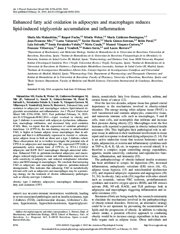 Oxidation And Promoting Fat Accumulation Reference: Pdf Enhanced Fatty Acid Oxidation In Adipocytes And Macrophages