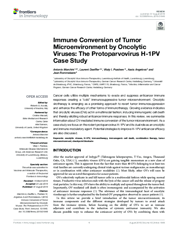 (PDF) Immune Conversion of Tumor Microenvironment by Oncolytic Viruses ...